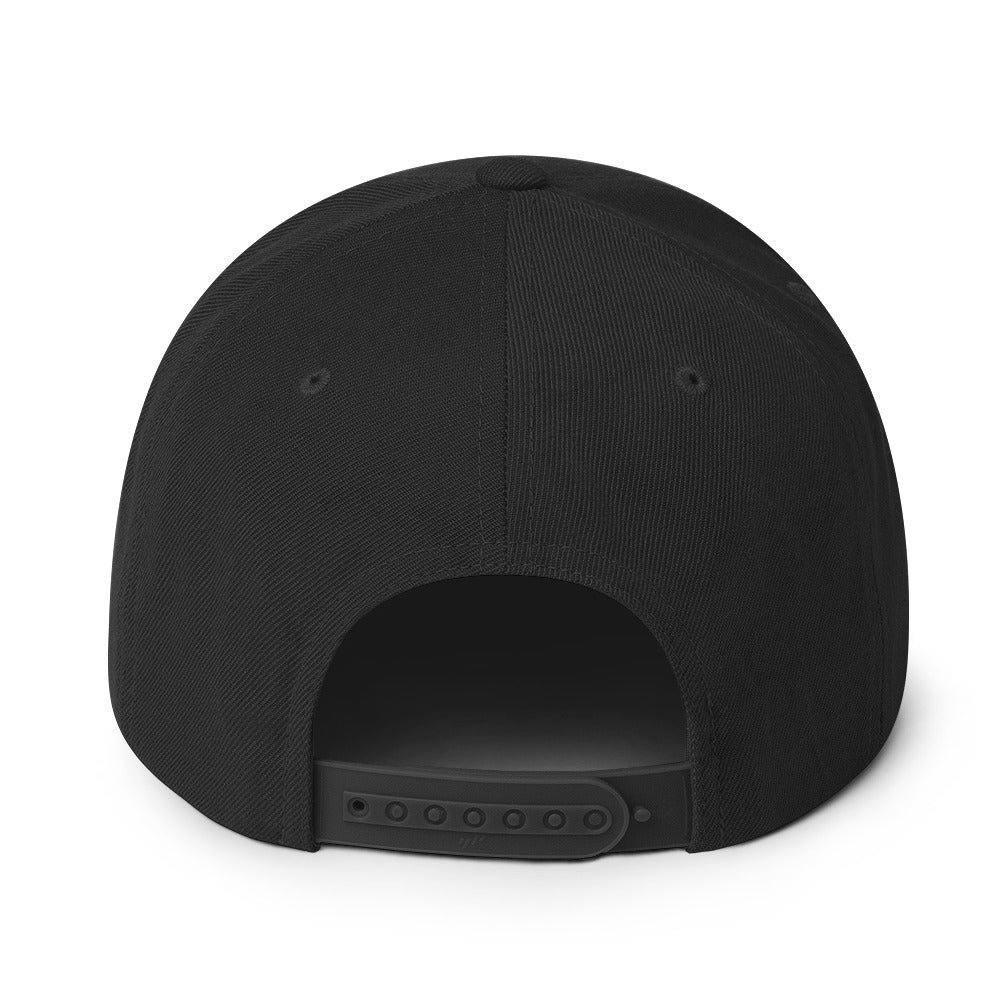 MLO Snapback Hat