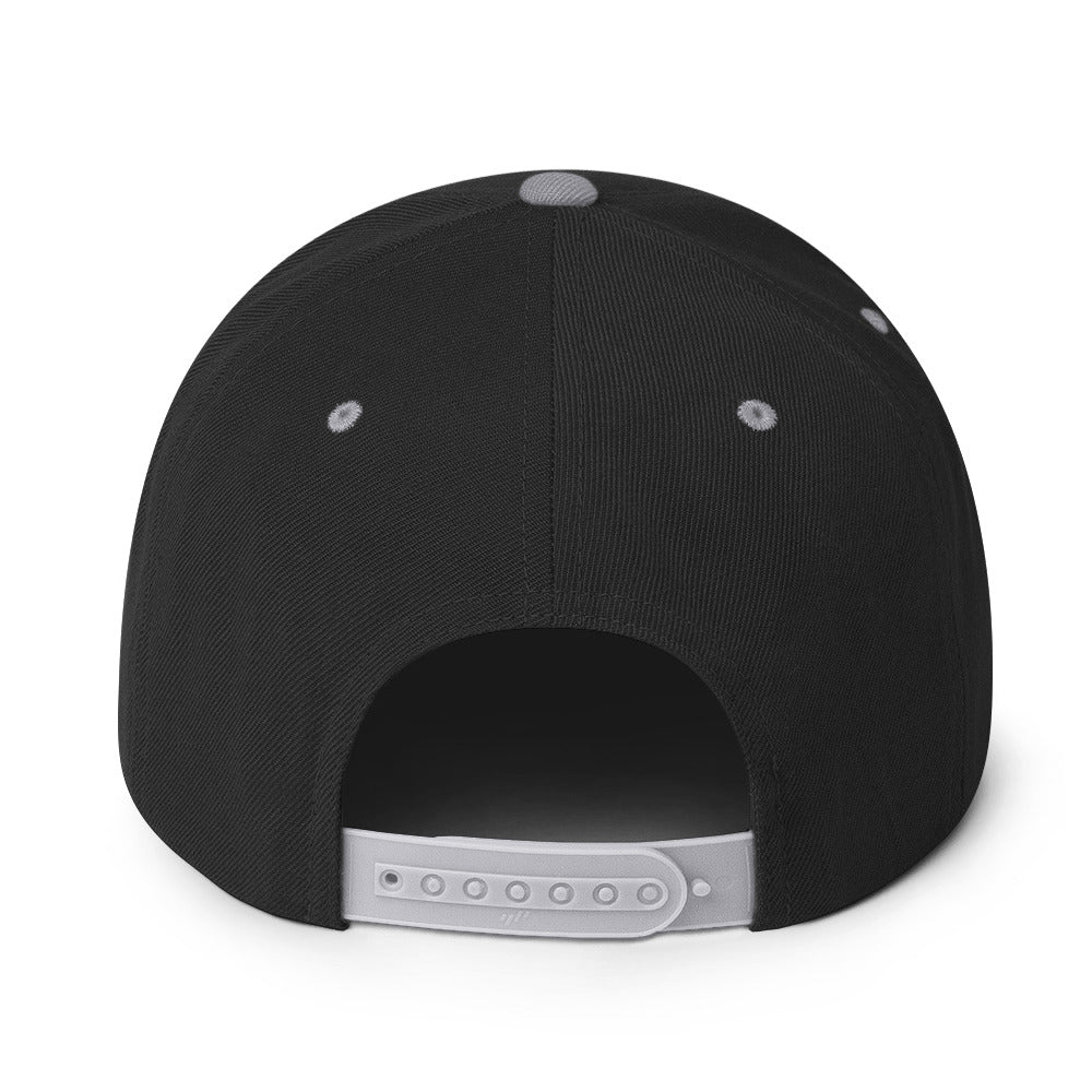 MLO Snapback Hat