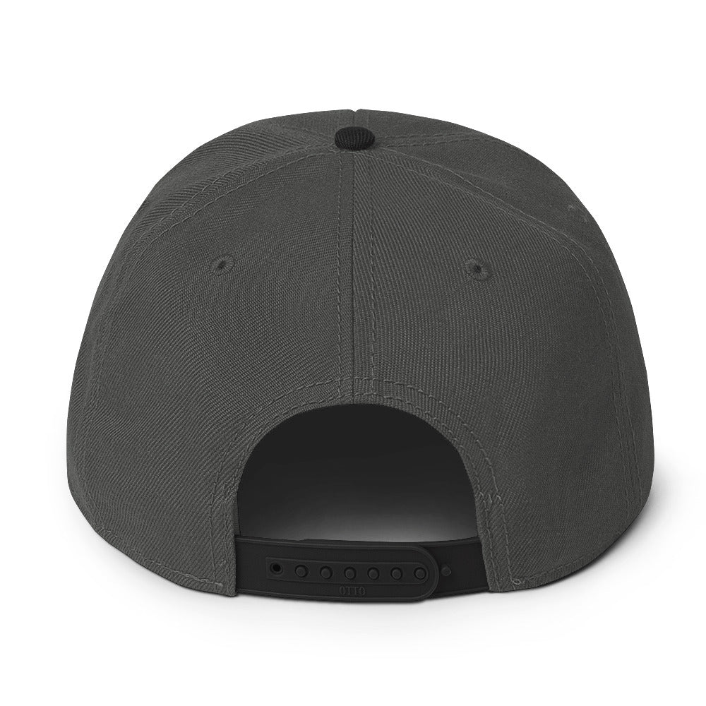 MLO Snapback Hat